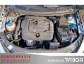 Skoda Fabia Combi 1.4 TDI Klima LM GRA RadioCD Grau - thumbnail 12