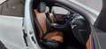 Mercedes-Benz C 200 4M AMG NIGHT-P PARK-P  LED CARPLAY RCAM Wit - thumbnail 17