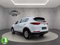 Kia Sportage 1.7 CRDI 2WD Business Class Blanco - thumbnail 5