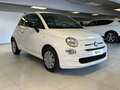 Fiat 500 1.0 70cv Ibrido Cult Blanc - thumbnail 5