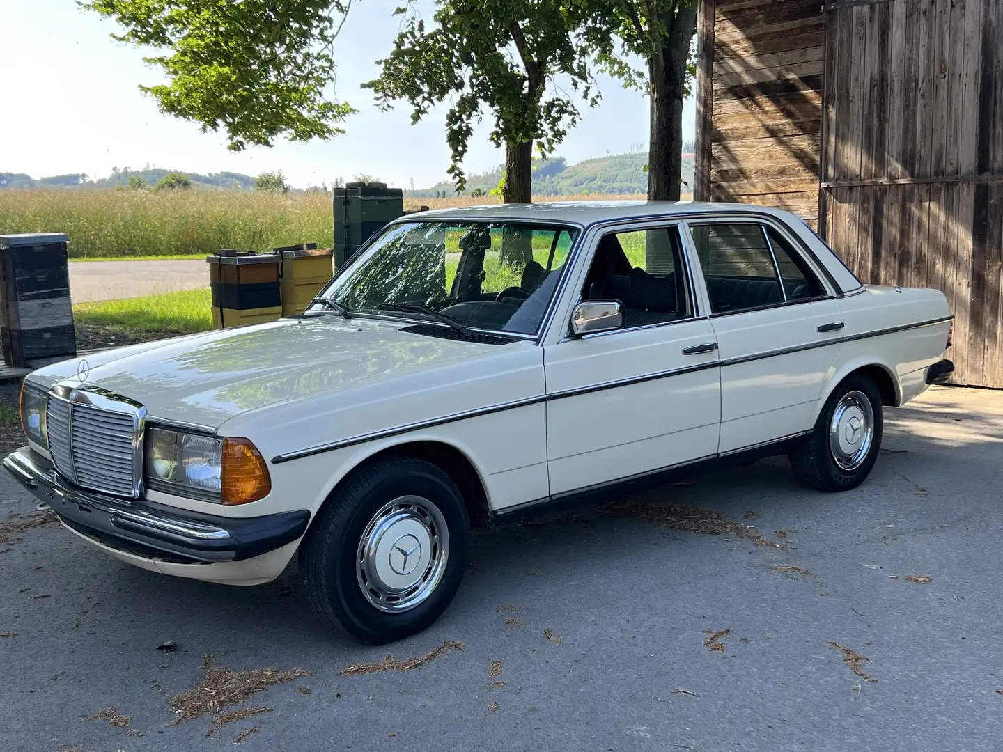 Mercedes-Benz 250 - 1