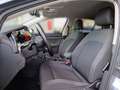 Volkswagen Golf 2,0 TDI Life Grau - thumbnail 14