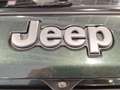 Jeep Compass 1.6 Multijet II Limited Grün - thumbnail 32