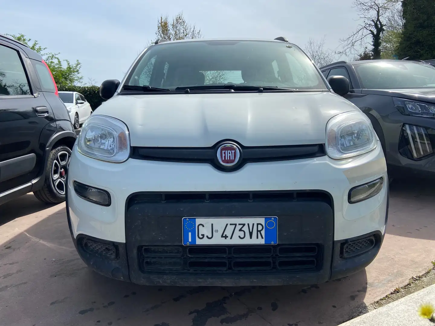 Fiat Panda Panda 1.0 firefly hybrid City Life s Blanco - 2