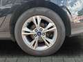 Ford Focus LM-Felgen Zahnriemen neu  Lordosenstütze Negro - thumbnail 12