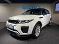 Land Rover Range Rover Evoque 2,0 TD4 150 HSE Dynamic Aut. Blanc - thumbnail 11