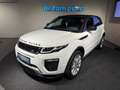 Land Rover Range Rover Evoque 2,0 TD4 150 HSE Dynamic Aut. Blanc - thumbnail 21