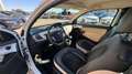 Lancia Ypsilon 1.3 MJT 75 CV Platino IDONEA NEOPATENTATI Weiß - thumbnail 7