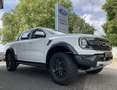 Ford Ranger Raptor Ranger Doppelkabine 3.0l V6 *360-Kamera* Weiß - thumbnail 3