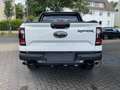 Ford Ranger Raptor Ranger Doppelkabine 3.0l V6 *360-Kamera* Alb - thumbnail 6