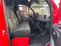 Mercedes-Benz Sprinter 317CDI*MBUX*Kamera*AHK3.0T*Klima*L2 H1* Rot - thumbnail 8