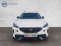 CUPRA Formentor 1,5 TSI Cupra DSG Weiß - thumbnail 4