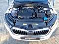 Skoda Octavia Combi 1.5 TSI Style DSG LED Navi AHK Klimaautoma Weiß - thumbnail 15