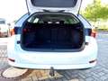 Skoda Octavia Combi 1.5 TSI Style DSG LED Navi AHK Klimaautoma Weiß - thumbnail 16