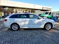 Skoda Octavia Combi 1.5 TSI Style DSG LED Navi AHK Klimaautoma Weiß - thumbnail 6