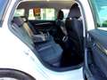 Skoda Octavia Combi 1.5 TSI Style DSG LED Navi AHK Klimaautoma Weiß - thumbnail 9