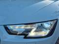 Audi A4 Avant,sport,s line,Navi,Bi Xen,Standhzg Wit - thumbnail 11