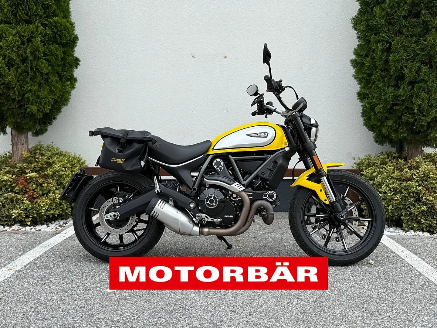 Ducati Scrambler Scrambler Icon 800 - 2