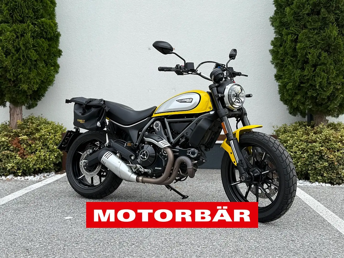 Ducati Scrambler Scrambler Icon 800 - 1