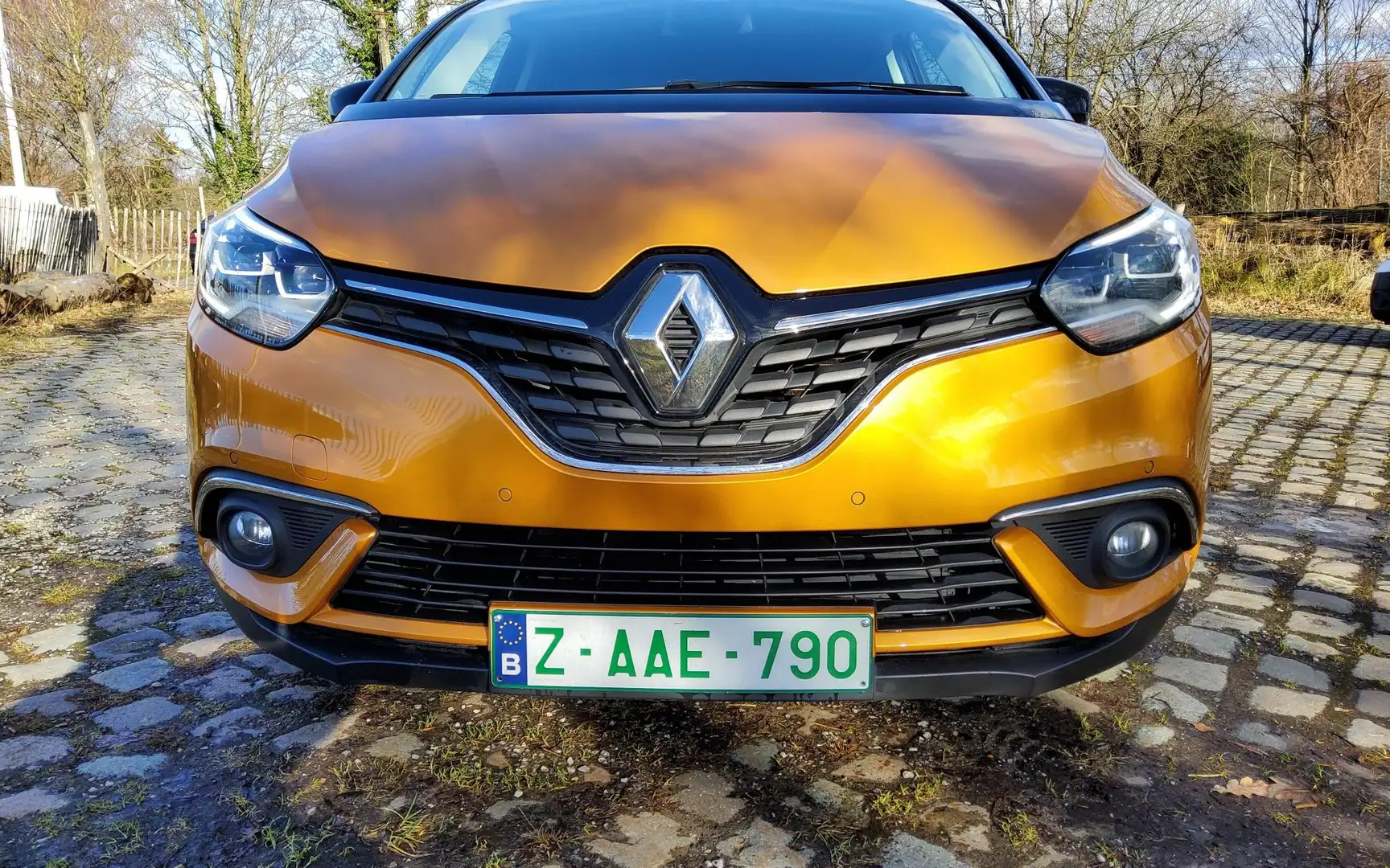 Renault Scenic 1.2 TCe Energy Bose Edition MASSAGE /LED Bronzová - 2