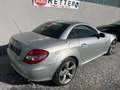 Mercedes-Benz SLK 200 SLK 200 Kompressor (171.442) Grau - thumbnail 3