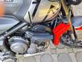 Triumph Trident 660 GPS, SAUTE VENT, RETRO SPECIAUX,PROTECTION CADRE E Grijs - thumbnail 4