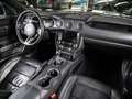 Ford Mustang GT 5.0 Ti-VCT V8 Fastback *PREMIUM2*SYNC3*B&O* Серый - thumbnail 12