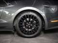Ford Mustang GT 5.0 Ti-VCT V8 Fastback *PREMIUM2*SYNC3*B&O* Серый - thumbnail 6