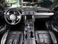 Ford Mustang GT 5.0 Ti-VCT V8 Fastback *PREMIUM2*SYNC3*B&O* Серый - thumbnail 11