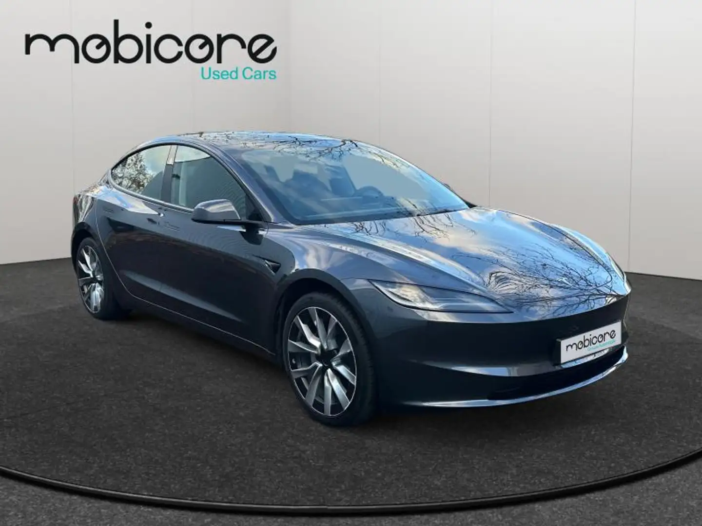 Tesla Model 3 Dual Motor / Electrique Grijs - 2