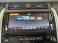 Land Rover Discovery 5 3.0TD6 HSE 249cv Auto Grau - thumbnail 16