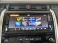 Land Rover Discovery 5 3.0TD6 HSE 249cv Auto Grau - thumbnail 15