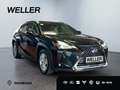 Lexus UX 250h Business Edition *Navi*ACC*Kamera*CarPlay*LMF* Noir - thumbnail 4