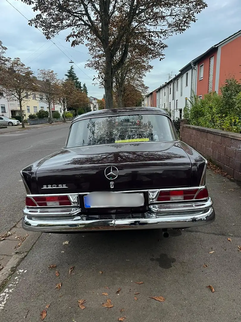 Mercedes-Benz 220 Violett - 2