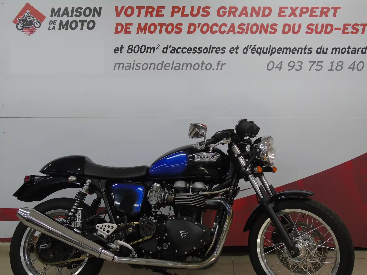 Triumph Thruxton Albastru - 1