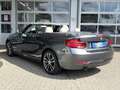 BMW 218 i Cabrio SportLine LED KAMERA Navi Leder AHK Grau - thumbnail 6