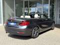 BMW 218 i Cabrio SportLine LED KAMERA Navi Leder AHK Grau - thumbnail 4