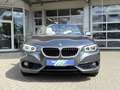 BMW 218 i Cabrio SportLine LED KAMERA Navi Leder AHK Grau - thumbnail 2