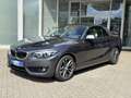 BMW 218 i Cabrio SportLine LED KAMERA Navi Leder AHK Grau - thumbnail 7