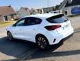 Ford Focus 1.0 ESS 125CV Titanium Style 8325HT 12/2022 GARANT Blanc - thumbnail 6