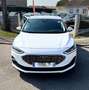 Ford Focus 1.0 ESS 125CV Titanium Style 8325HT 12/2022 GARANT Blanc - thumbnail 7