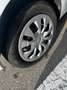 Renault Clio Clio+III+2009+5p+1.2+16v+Dynamique+Gpl Bianco - thumbnail 12
