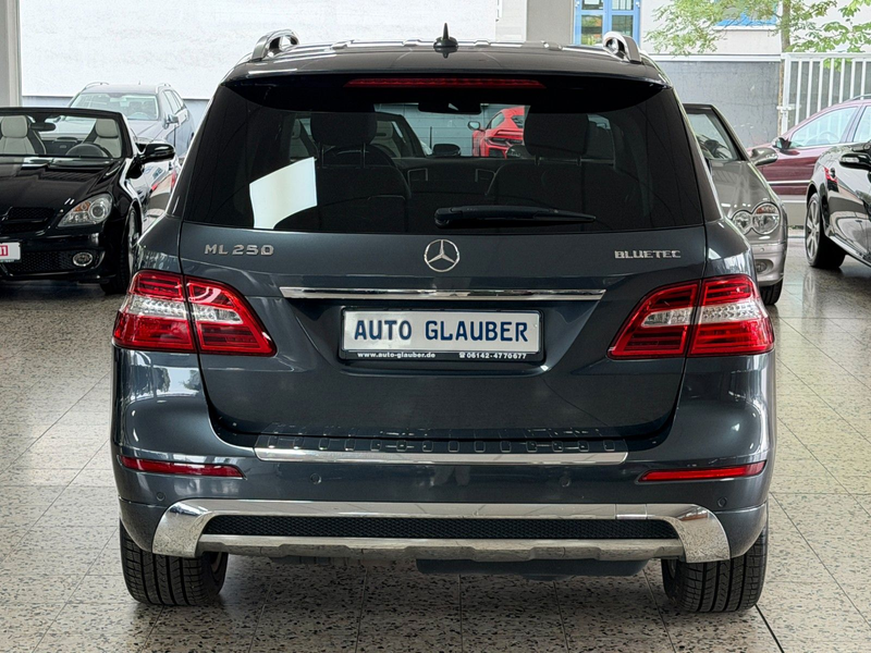 Mercedes-Benz ML 250 CDI BlueTec/4Matic/AMG/Xenon/Navi/1.Hand — photo 8