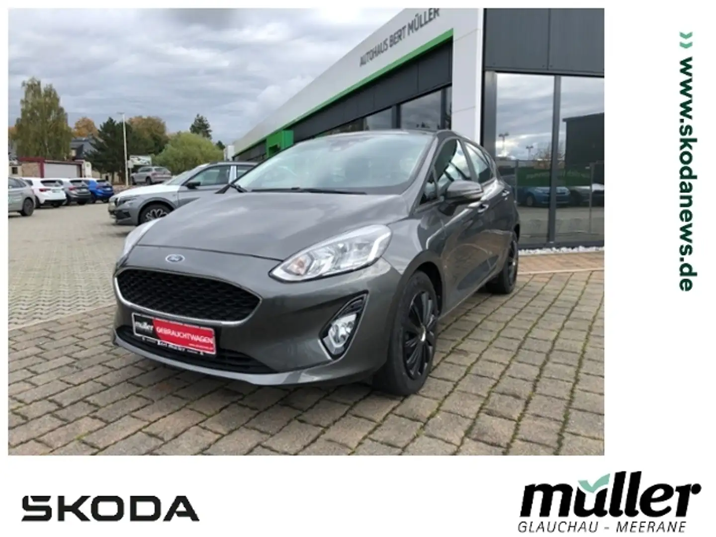Ford Fiesta Cool & Connect SHZ PDC Beh. Frotscheibe Gris - 1