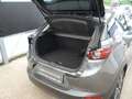 Mazda CX-3 L SKYACTIV-G 121 FWD 5T 6GS AL-SPORTS TEC-P Grau - thumbnail 5