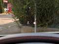 Mercedes-Benz C 43 AMG Cabrio/Burmester/ACC/HuD/Kamera/Klappe Weiß - thumbnail 27