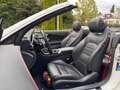Mercedes-Benz C 43 AMG Cabrio/Burmester/ACC/HuD/Kamera/Klappe Weiß - thumbnail 14