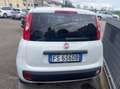Fiat Panda Van 1.3 mjt Pop S&S 80cv 2p.ti serie 2 E6 Blanco - thumbnail 6