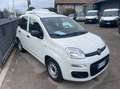 Fiat Panda Van 1.3 mjt Pop S&S 80cv 2p.ti serie 2 E6 Blanco - thumbnail 13
