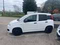 Fiat Panda Van 1.3 mjt Pop S&S 80cv 2p.ti serie 2 E6 Blanco - thumbnail 5